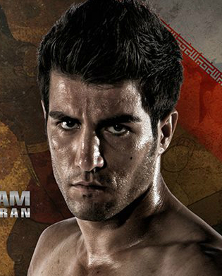 Seyedisa  ALAMDARNEZAM